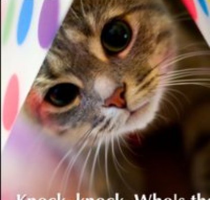 Светлана Кривоносова