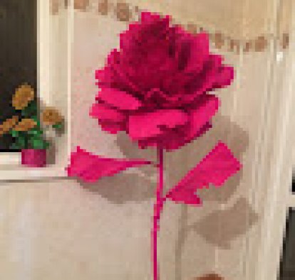 Аза Седаева